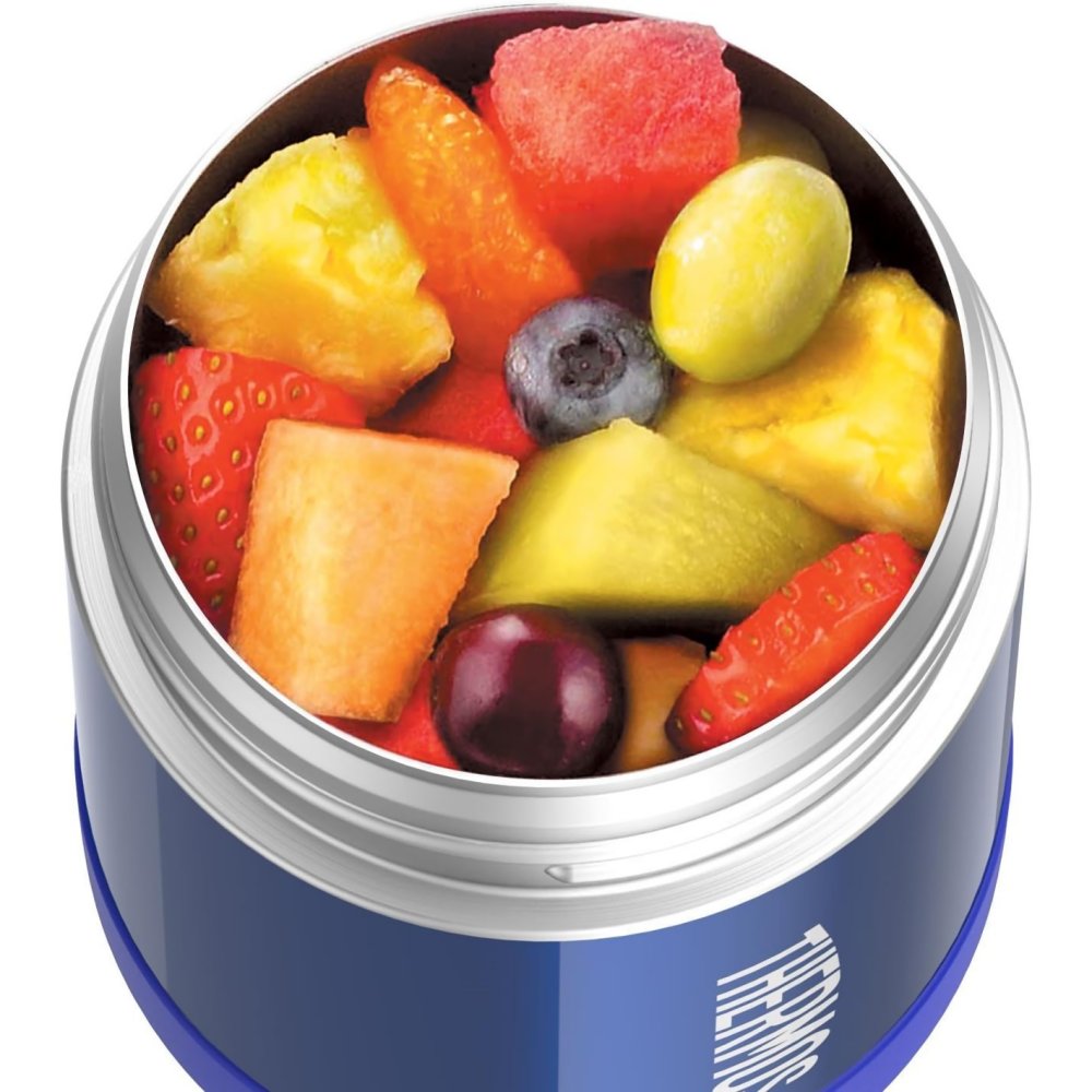 Thermos FUNtainer Stainless Steel Food Jar 290ml (Blue) - Image 1