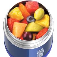 Preview Thermos FUNtainer Stainless Steel Food Jar 290ml (Blue) - Image 1